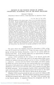 Attēlu rezultāti vaicājumam “Athous sp.”