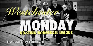 Image result for Bewdley Virtue Dodgeball Club