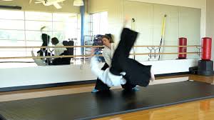 Image result for Durham City Aikikai