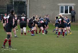 Image result for Carrickfergus Rugby Football Club
