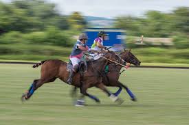 Image result for Kirtlington Park Polo Club