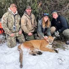 Image result for Ut Cougars