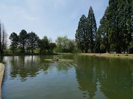 Image result for Hinksey Sculling School Club