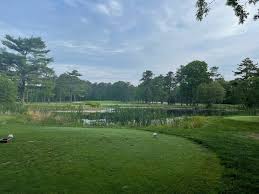 Image result for Falmouth and Helston Octopush Club