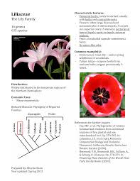 Attēlu rezultāti vaicājumam “Liliaceae”