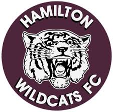 Image result for Hamilton Panthers Association Football Club