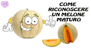 Image result for Melone