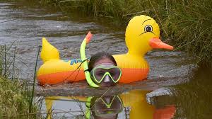Image result for Bog Snorkelling Championships