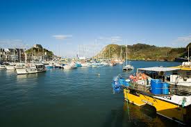 Image result for Ilfracombe & N Devon