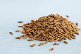 Attēlu rezultāti vaicājumam “Carum carvi”