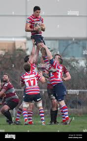 Image result for Barking Rugby Union Football Club