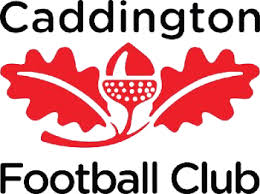 Image result for Caddington Cricket Club