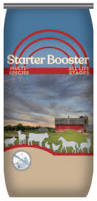 Image result for Booster Starter