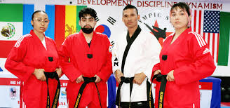 Image result for Stoke UTA Olympic Taekwondo