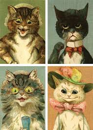 Image result for cat man