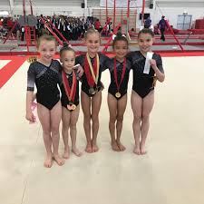Image result for City Of Newcastle Gymnastics Academy
