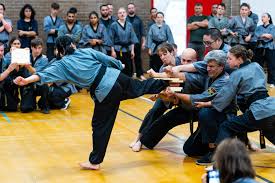Image result for Shaolin Nam Pai Chuan Kung Fu - Manchester Martial Arts Centre