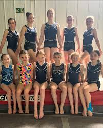 Image result for Uckfield Gymnastics Club