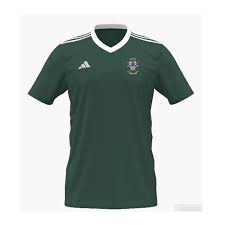 Image result for Brigg Hockey Club