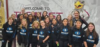 Image result for Halton Netball Club