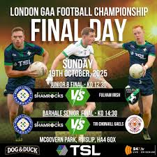 Image result for Tir Chonaill Gaels G A A Club