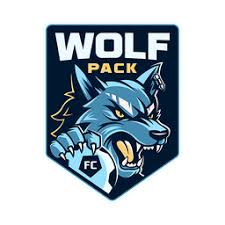 Image result for Woolpack Fc