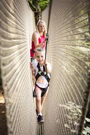 Image result for Go Ape! Leeds Castle