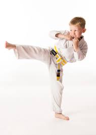 Image result for Hull Kung Fu