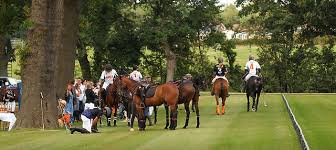 Image result for Woolmers Park Polo Club