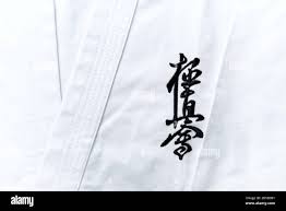 Image result for Kyokushin Karate