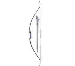 Image result for Silver Arrow Archery