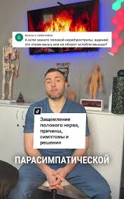 Картинки по запросу белку зажевало в диск