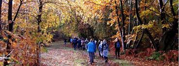 Image result for Mid Surrey Ramblers
