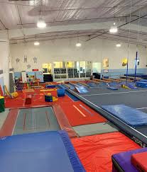 Image result for Olga Gymnastics & Trampoline Club
