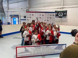 Image result for Glossopdale Devils