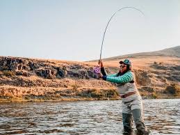 Image result for Byfleet Angling Association