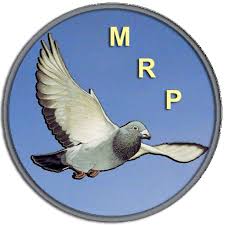Image result for Meridian Racing Pigeon Lofts