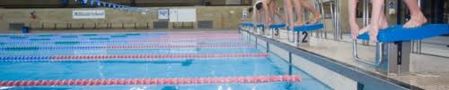 Image result for Frome Swimming Club