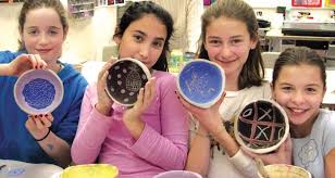 Image result for Mcquiston Memorial Bowls Club