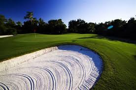 Image result for Rosedale Old Cestrians Sports Club