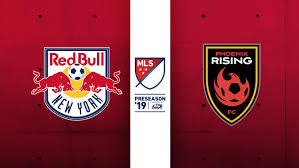 Image result for Phoenix Royals F C