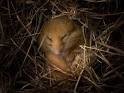 HowStuffWorks "How Hibernation Works"