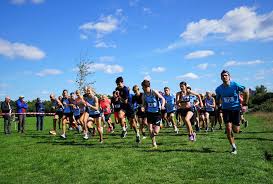 Image result for Thames Valley Harriers