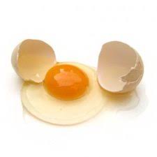 egg