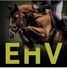 Image result for Greenways Riding Stable Lower Eashing