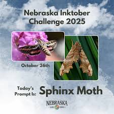 Image result for Cycleptus elongatus