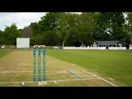 Image result for Redlynch and Hale Cricket Club