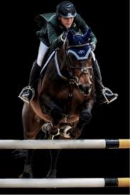 Image result for Fisher Equestrian