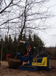 Image result for roboflail tehron