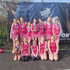 Image result for Pink Ladies Netball Club